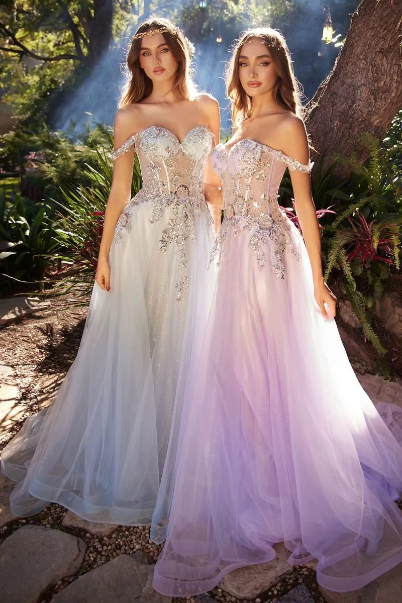 EMBELLISHED A-LINE TULLE BALL GOWN CDA1258